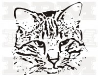 /album/fotogaleria-mackovite/mackovite-16-jpg/